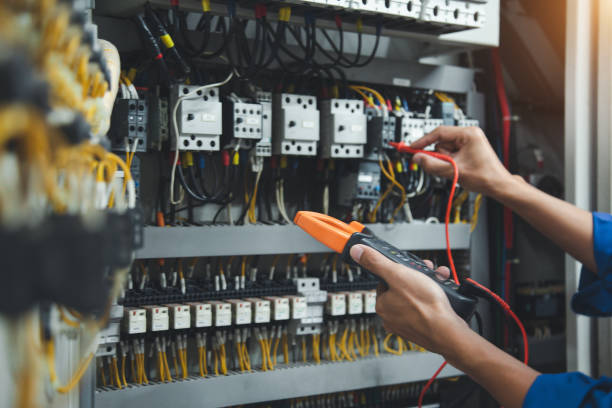 Best Electric Panel Repair  in Rio Bravo, TX
